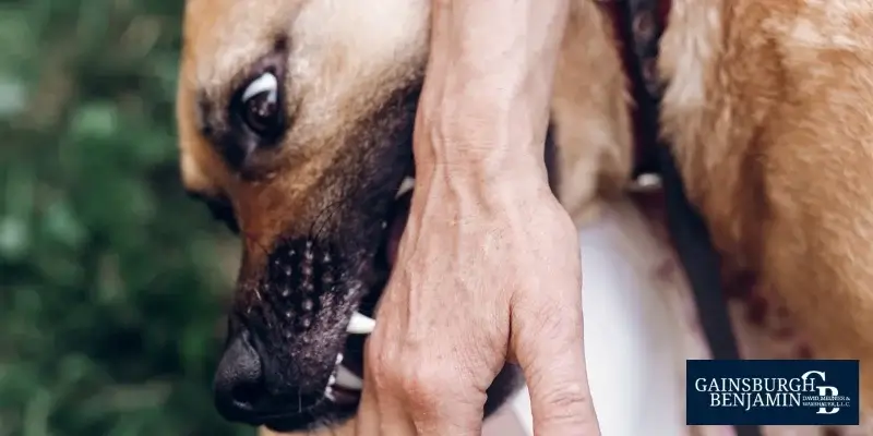 best new orleans dog bite attorney